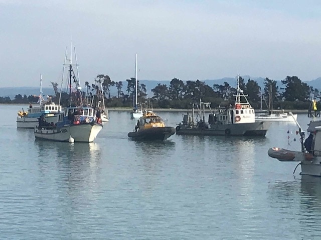 Blessing of the Fleet in Nelson 2019