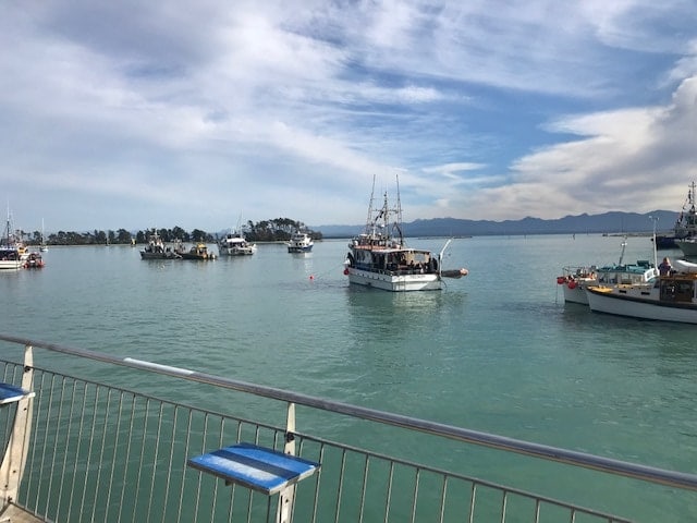 Blessing of the Fleet in Nelson 2019