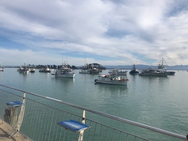 Blessing of the Fleet in Nelson 2019